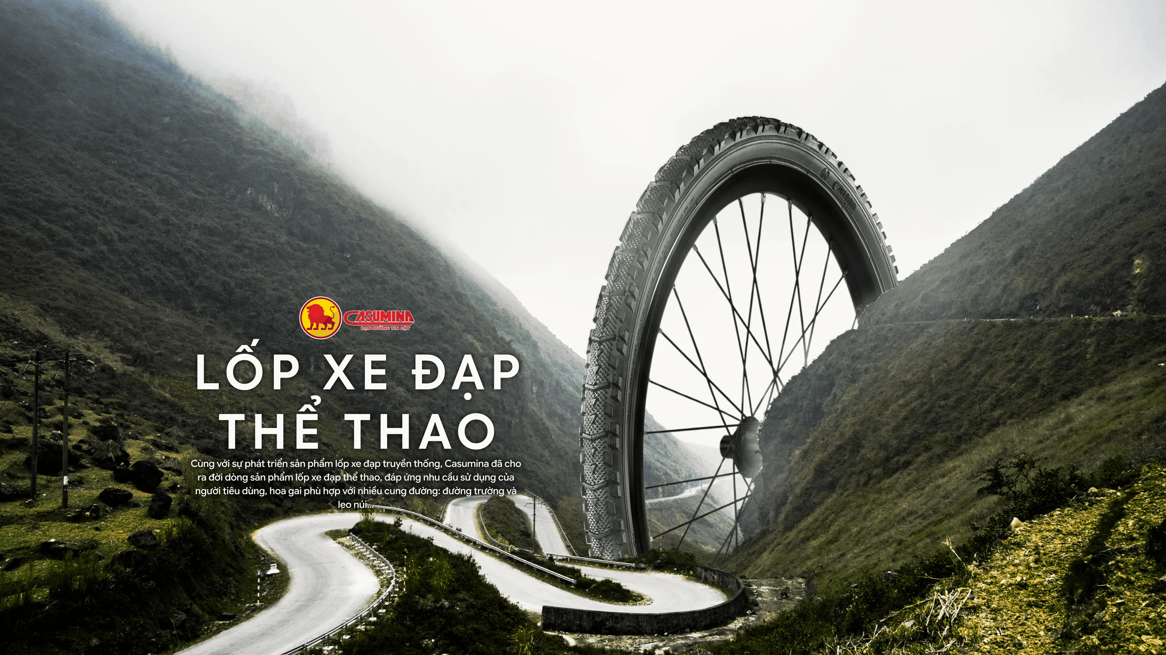 Lốp thể thao